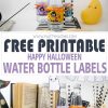 Free-printable-Halloween-Water-Bottle-Labels-for-your-Kids-02