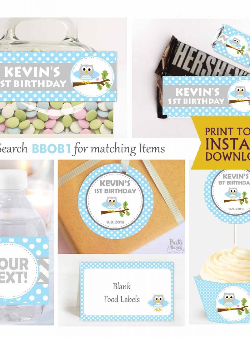 Editable Blue Owl Kids Birthday Full Party Decoration Pack | E005