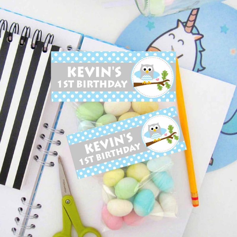 Editable Blue Owl Kids Birthday Full Party Decoration Pack | E005