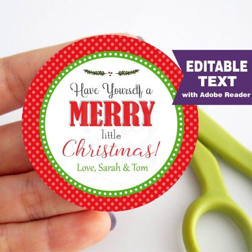 Editable Have a Merry Little Christmas Favor Gift Tag | E276
