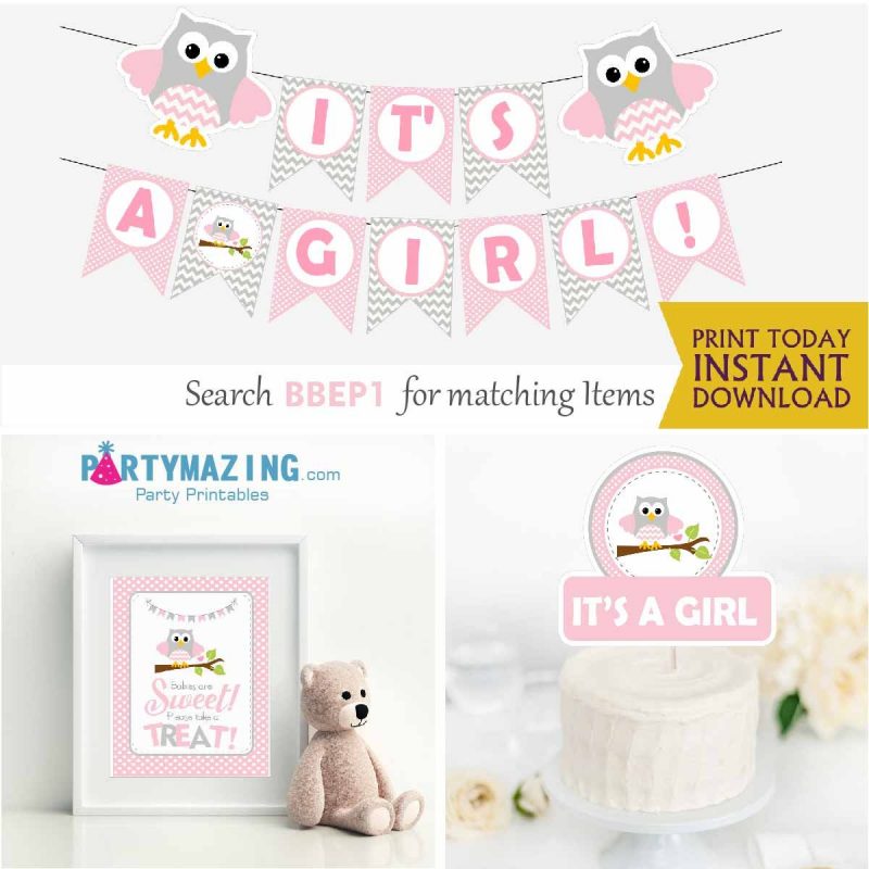 Pink Owl Baby Shower Express Party Package Set for a Baby Girl | BBOP1 | E033