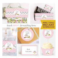 Pink Owl Baby Shower Express Party Package Set for a Baby Girl | BBOP1 | E033