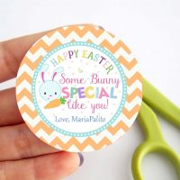 Cute Editable Text Easter Gift Tag | Happy Easter Tag| Bunny Cupcake Topper| Some-Bunny Special tag | Printable Easter Tag| HOEA1 | E130