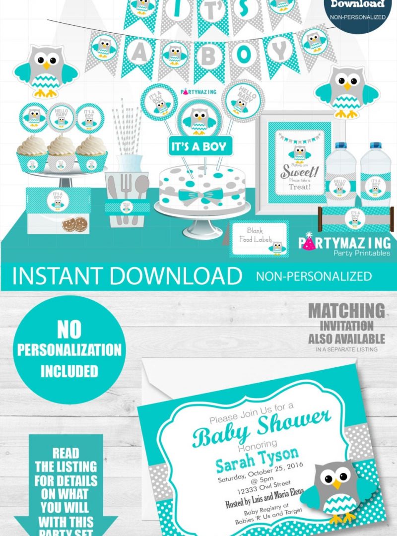 Printable Boy Turquoise Owl Baby Shower Express Party Set Package Decorations | PK01 | E024