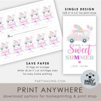 Sweet Summer Ice Cream Truck Party Tags | Printable Birthday Girl Gift Goodie Bag Labels | Editable Thank You Tag | Template Download E584